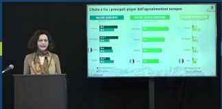 Agricoltura, Nomisma: “Nella Pac più libertà di distribuzione aiuti, importante capire come”