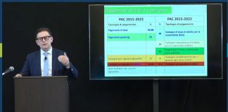 Agricoltura, Ismea: “Da Pac forti tagli sostegni alcuni settori, trovare nuove strategie”
