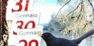 Giorni della Merla: freddo al Nord e caldo al Sud. Nel Mantovano temperature miti