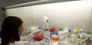 Boano (Novartis): “Con nuova terapia cambiamo la storia dell’anemia falciforme”