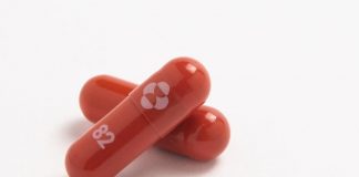 Pillola anti covid Merck in arrivo in Italia: come funziona, bugiardino