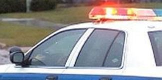 Ingegnere italiano morto in Olanda, “fermato presunto assassino”