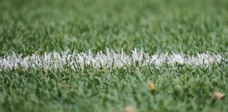 Calcio, rugby e basket soddisfatti del nuovo protocollo covid, ora ‘palla’ al Cts