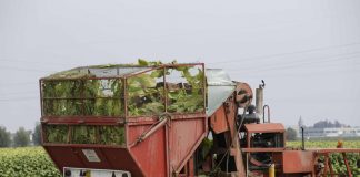 Smart farming e strumenti contrattuali nel Piano strategico Pac 2023-27