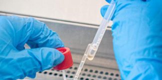 Variante Omicron 3 volte più contagiosa di Delta: quanto dura infezione