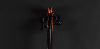 “Non ti ho protetta da nulla”, domani reading e musica a Gonzaga per la Giornata della Memoria