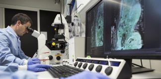 SMA, arriva in Italia il primo farmaco per il trattamento a domicilio