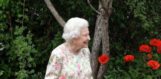 UK, la regina Elisabetta positiva al Covid, sintomi lievi