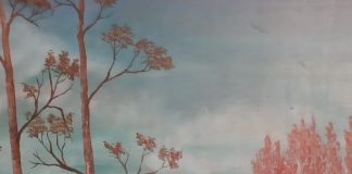 A Campitello in mostra al Circolo Arci le opere del pittore Davide Zaffanella