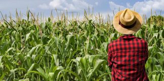 Censimento Agricoltura, Confai: giù imprenditori U44 e scarsa attenzione a contoterzismo