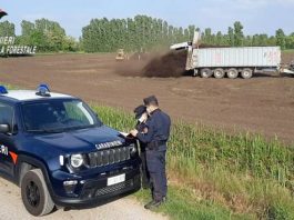 Carabinieri forestali, nel 2021 nel mantovano 212 sanzioni per 200mila euro e 51 notizie di reato