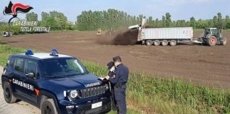 Carabinieri forestali, nel 2021 nel mantovano 212 sanzioni per 200mila euro e 51 notizie di reato