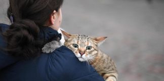 Guerra Ucraina, l’appello: “Accogliere rifugiati con animali anche senza documentazione”