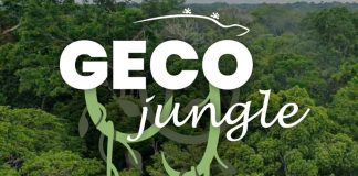 Innovazione, al via Geco: fiera virtuale in 3D sull’ecosostenibilità