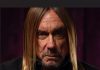 Iggy Pop in concerto a Mantova in Piazza Sordello il 5 luglio