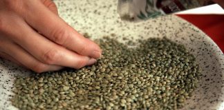 Boom legumi con +15% consumatori in 10 anni