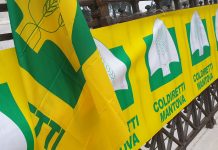 Guerra in Iran, Coldiretti scende in piazza “con nuovo shock energetico aziende a rischio”