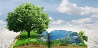 La tutela dell’Ambiente in Costituzione, riforma è legge