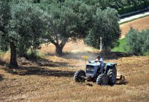 Sicurezza, Cai Agromec: “obiettivo prioritario, favorire innovazione, formazione, sostegno reale al settore agromeccanico”