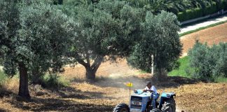 Sicurezza, Cai Agromec: “obiettivo prioritario, favorire innovazione, formazione, sostegno reale al settore agromeccanico”