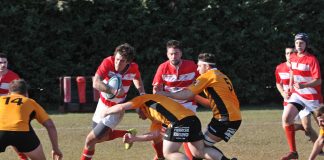 Rugby, il Mantova cerca di bissare a Desenzano il sucesso di Casalmaggiore