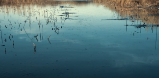 Siccità, ok della Regione alla deroga del deflusso minimo vitale. Il Mincio però non è in emergenza