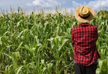 Misura giovani 2025 finanziate 24 domande, quattro sono nel mantovano per 160mila €