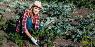 Nasce il servizio a sostegno dell’imprenditoria femminile in agricoltura