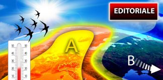 Sole e caldo, settimana di primavera: meteo in Italia