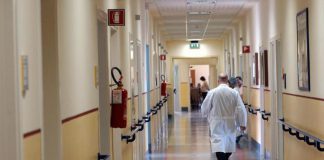 Cicchetti (Altems): “Nuova terapia per emofilia A non ha impatto su Ssn”