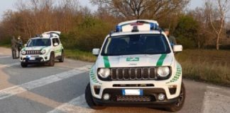 Polizia Provinciale: più personale e più turni per migliorare servizi e sicurezza