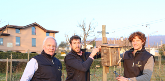 Da barrique a nidi artificiali, con Ricci Curbastro ‘Le tre vite dell’albero’ con il lavoro dei detenuti