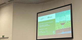 Vino, i giovani cercano sempre di più la qualità e non gli eccessi