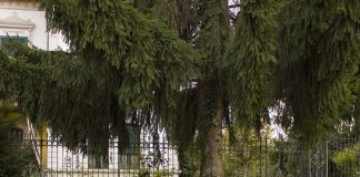 Around Suzzara: dal 21 aprile dialoghi, passioni e dintorni