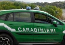 Casalmoro, due uomini denunciati dai carabinieri forestali per reiterato abbandono di rifiuti nei campi