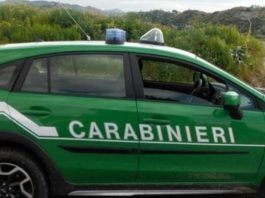 Casalmoro, abbandonano più volte i rifiuti nei campi: scoperti e denunciati dai carabinieri forestali