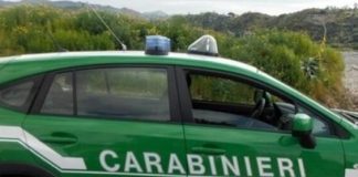La gestione dei rifiuti in azienda: venerdì in Apindustria incontro con i Carabinieri Forestali