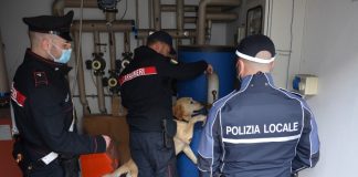 Castiglione, i carabinieri con il cane “Grinder” scovano droga e clandestini in un palazzo