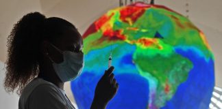 Covid, Oms: “Più di 500 milioni di contagi nel mondo da fine 2019”