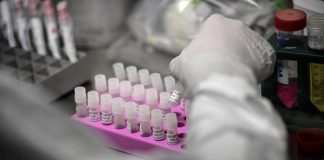 Covid nel mantovano: 422 nuovi positivi. L’aumento maggiore nel comune capoluogo +49 casi