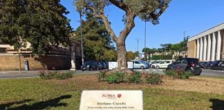Sentenza Cucchi, legale del cc Di Bernardo: “Si è costituito in caserma”