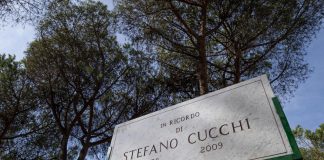 Sentenza Cucchi, il legale del cc D’Alessandro: “Condanna ingiusta”