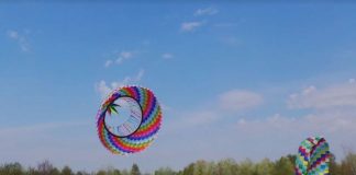 La Festa di primavera e degli Aquiloni torna alla Foresta della Carpaneta: appuntamento il 18 aprile