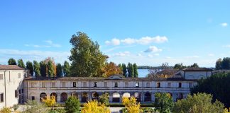 “Un cielo pieno di pesci”: domani al Ducale un laboratorio per bambini e famiglie