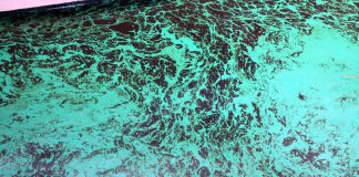 Mediterraneo, rischio catastrofe ambientale: naufraga nave carica di gasolio