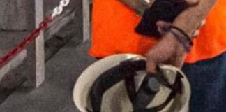 Cade da 5 metri, muore operaio nel Milanese