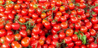 Agroalimentare: Ismea, Ue si conferma mercato più importante per prodotti italiani