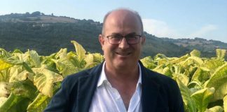 Tabacco, Trippella (Pmi): “Non solo investimenti economici, ma anche su capitale umano”