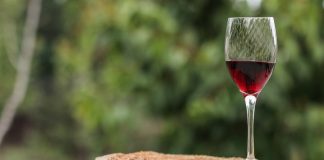 Vino, con Coldiretti buyer internazionali domani a Mantova alla scoperta di Colli Morenici e Lambrusco