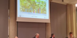 Banche e Fintech alleati per Pmi più forti e sostenibili